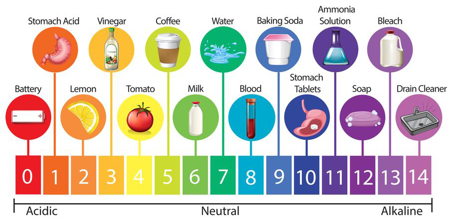 pH Scale